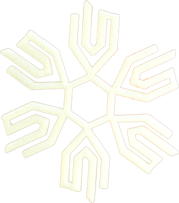 DTI's snowflake