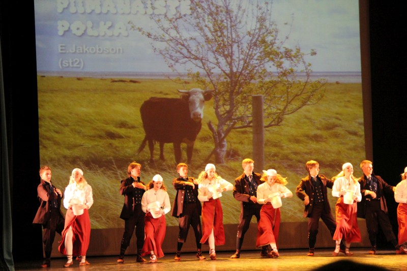 Sõlekese kontsert