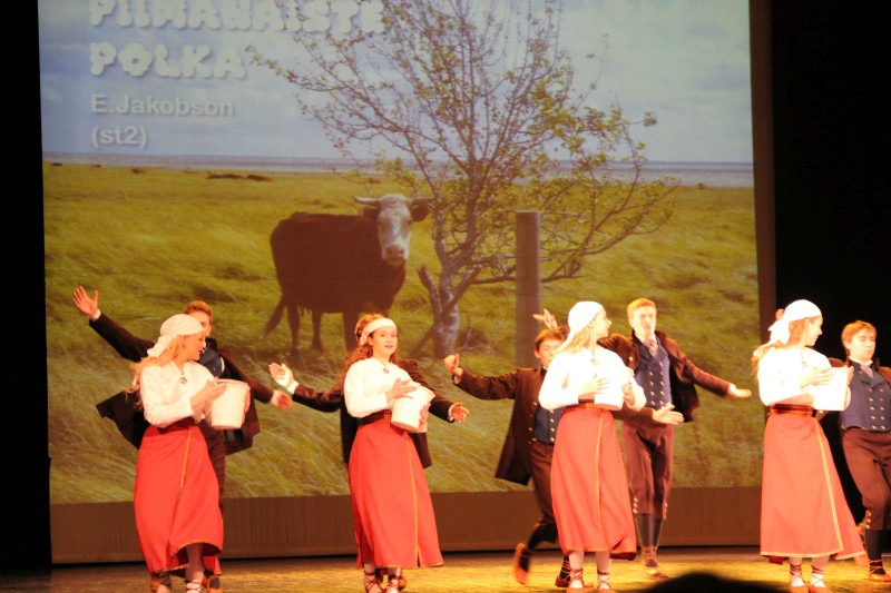 Sõlekese kontsert